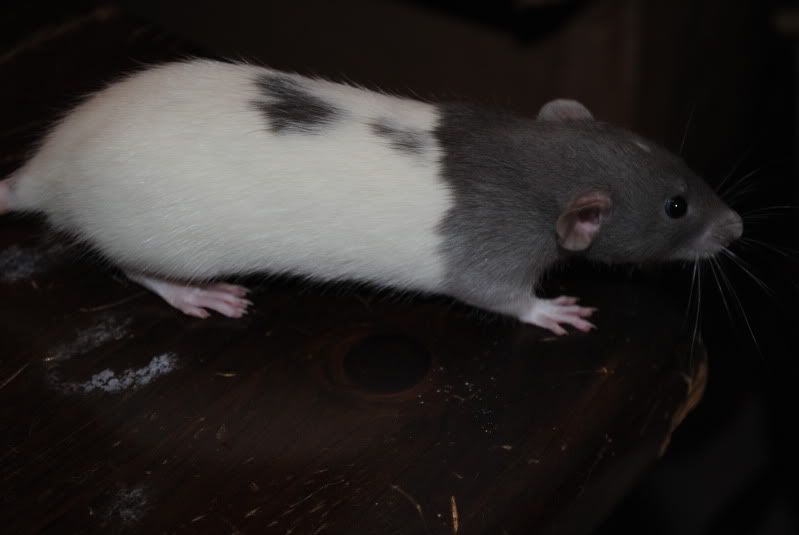DSC_0165.jpg