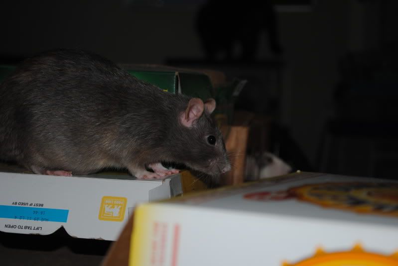 DSC_0223.jpg
