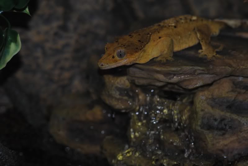 DSC_0269.jpg