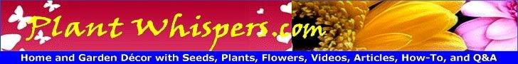 Midday News Plant Whispers Growing Beautiful Flowers For The Home and Grand Gardens For Your Backyard How-To Videos