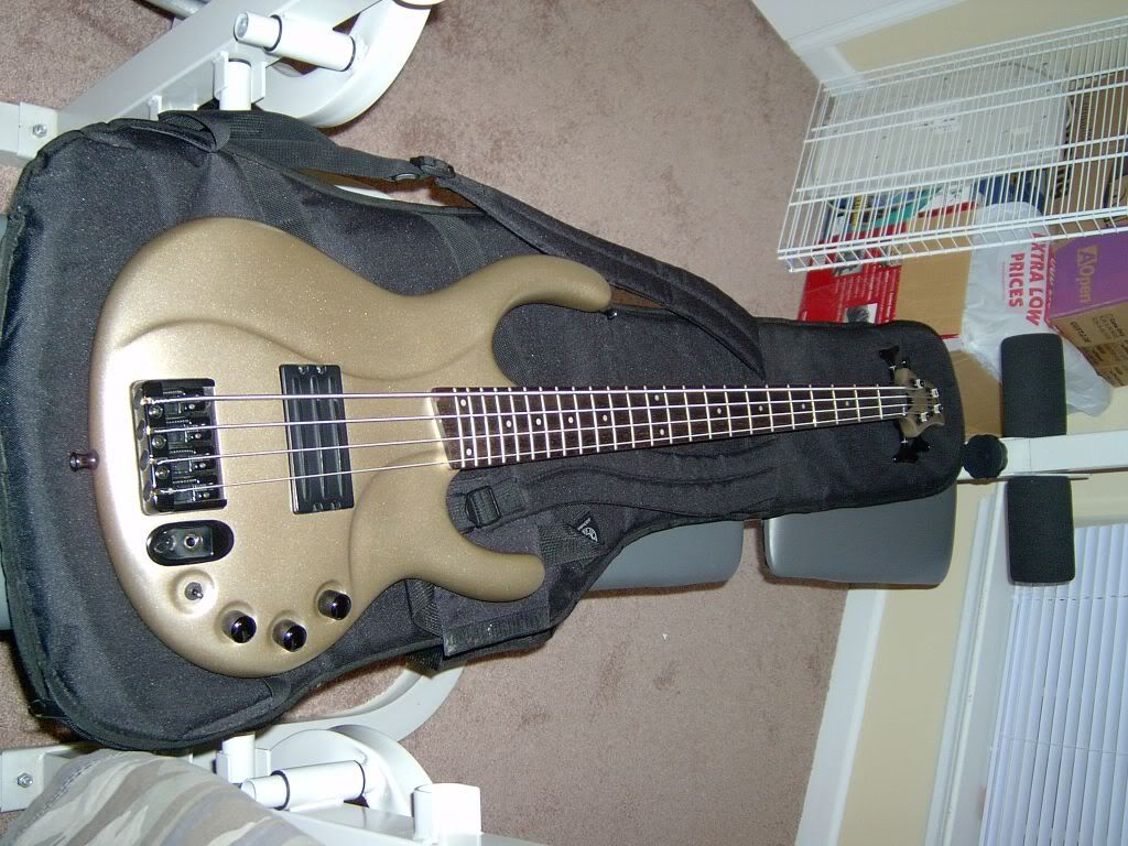 Fender Fender