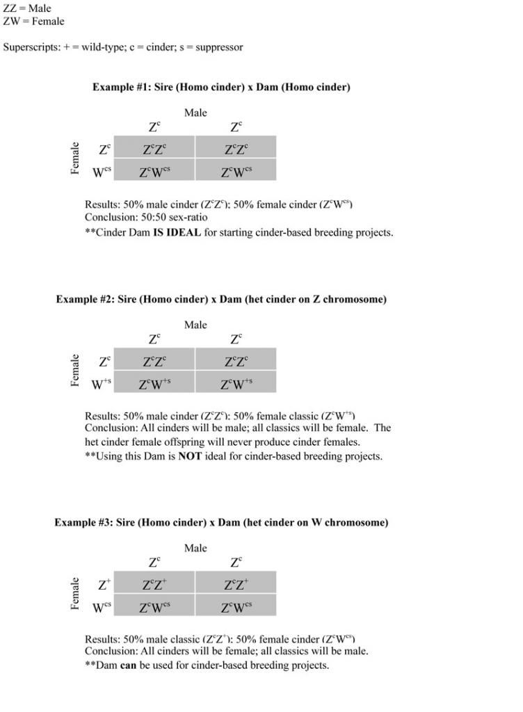 CinderPunnettSquaresSheet1-1_zpsb565fea3.jpg