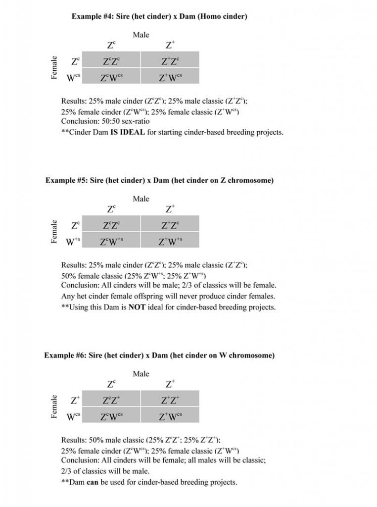 CinderPunnettSquaresSheet1-2_zps5fecbc9e.jpg