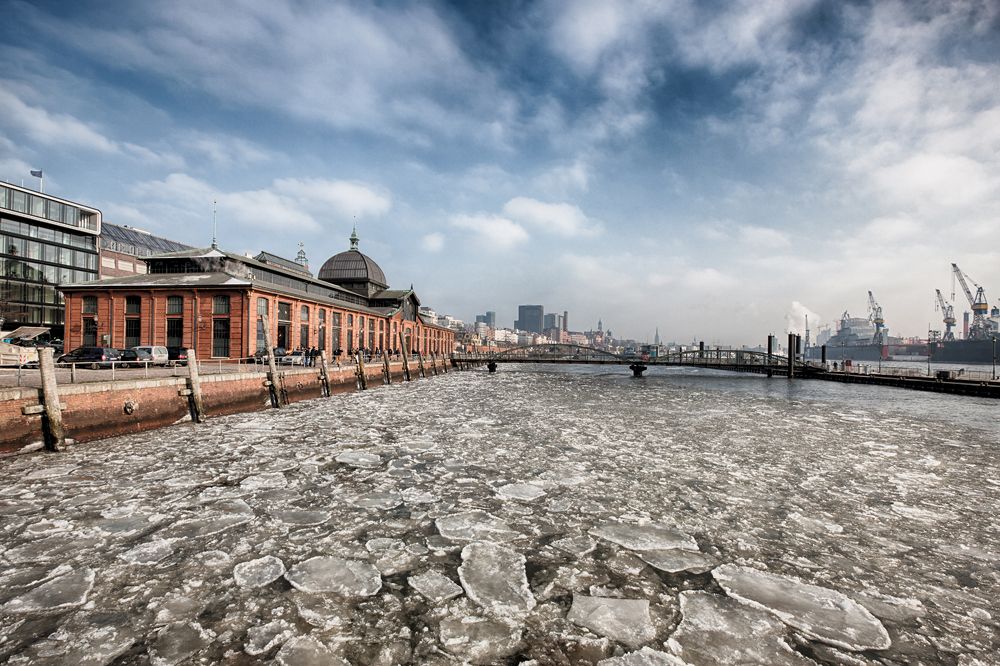 IMAGE: http://i70.photobucket.com/albums/i97/cyriopagopus/IMG_0564_1_zps6229f4b5.jpg