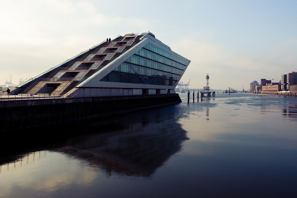 IMAGE: http://i70.photobucket.com/albums/i97/cyriopagopus/IMG_0621_zps9d0a15ea.jpg