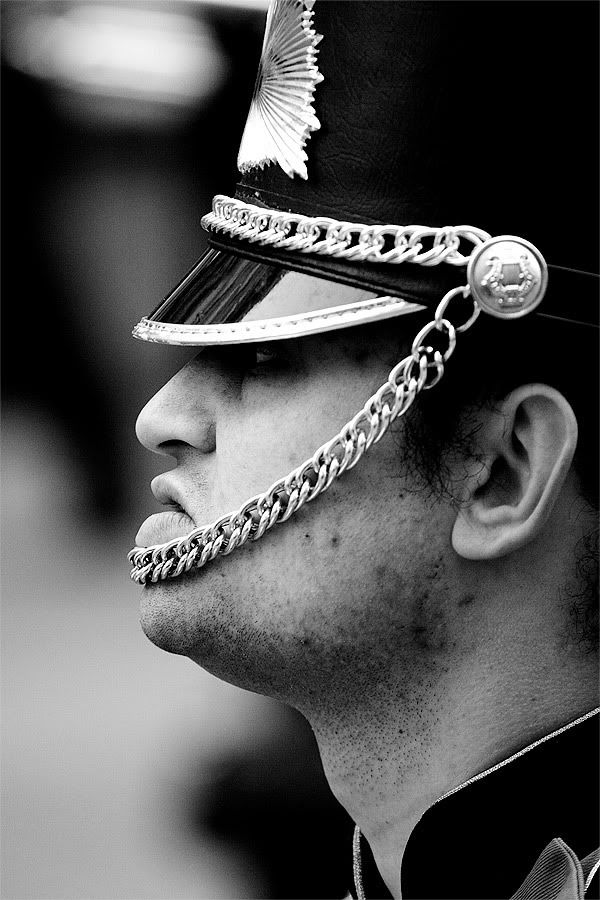 IMAGE: http://i70.photobucket.com/albums/i97/cyriopagopus/IMG_1719.jpg