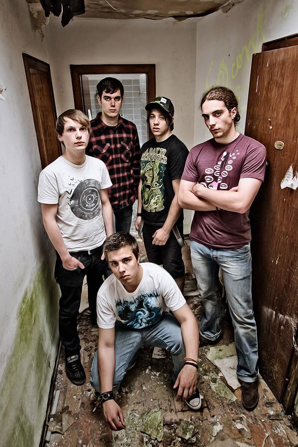 IMAGE: http://i70.photobucket.com/albums/i97/cyriopagopus/IMG_5952_4.jpg