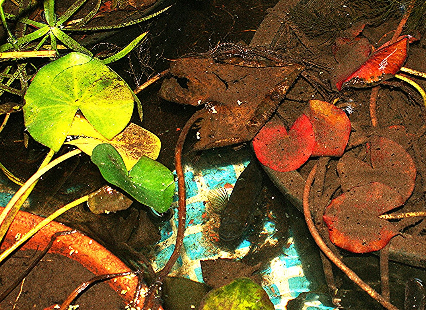 Stock Tank Pond Substrate?