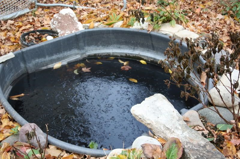 300 Gallon Stock Tank Setup question 300 Gallon Stock Tank Setup question