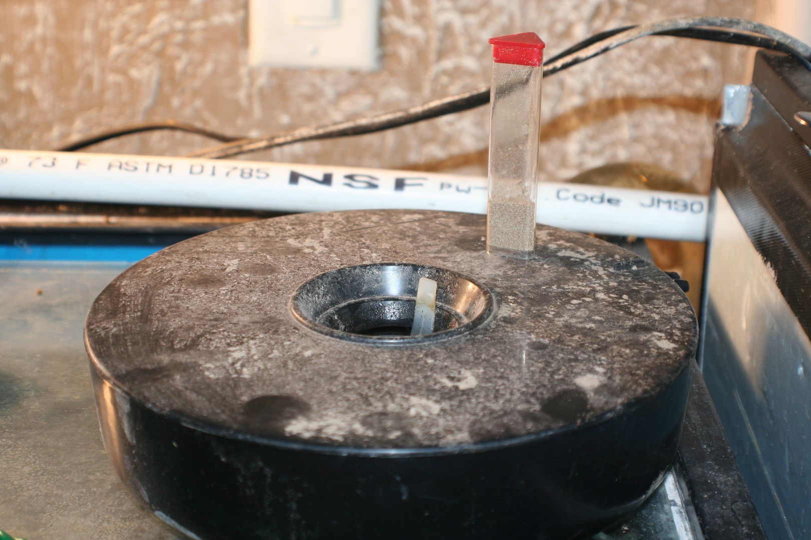 Are brine shrimp eggs bad for fish? | MonsterFishKeepers.com