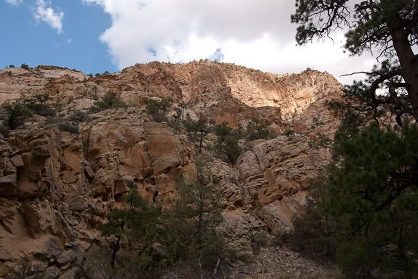 20090825-0274-Colorado.jpg