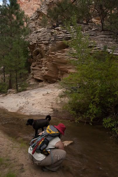 20090825-0327-Colorado.jpg
