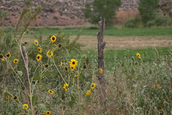 20090826-0553-Colorado.jpg