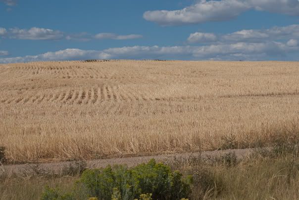 20090826-0585-Colorado.jpg