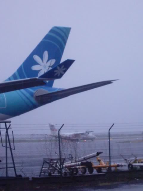 Img00025.jpg