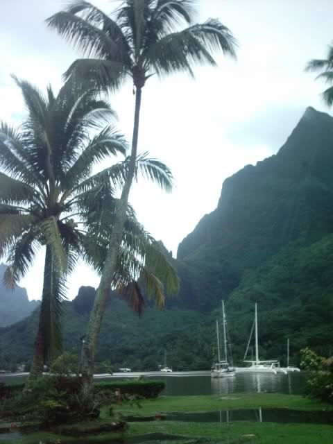 Img00029.jpg