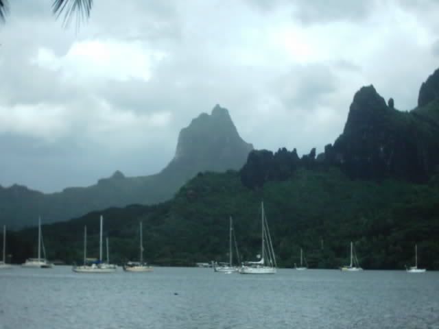 Img00036.jpg