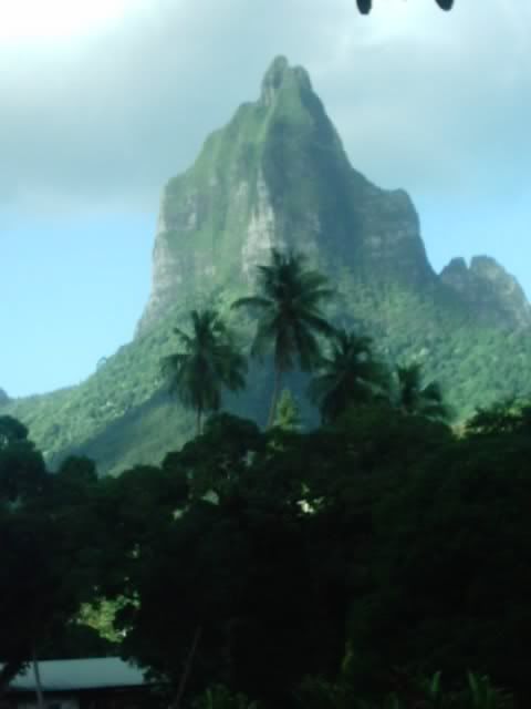 Img00061.jpg