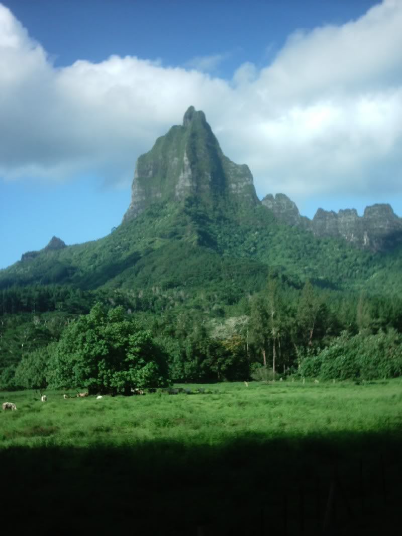 Img00062.jpg