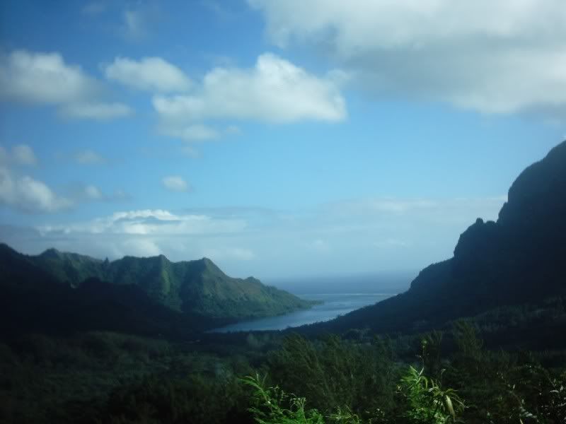Img00064.jpg