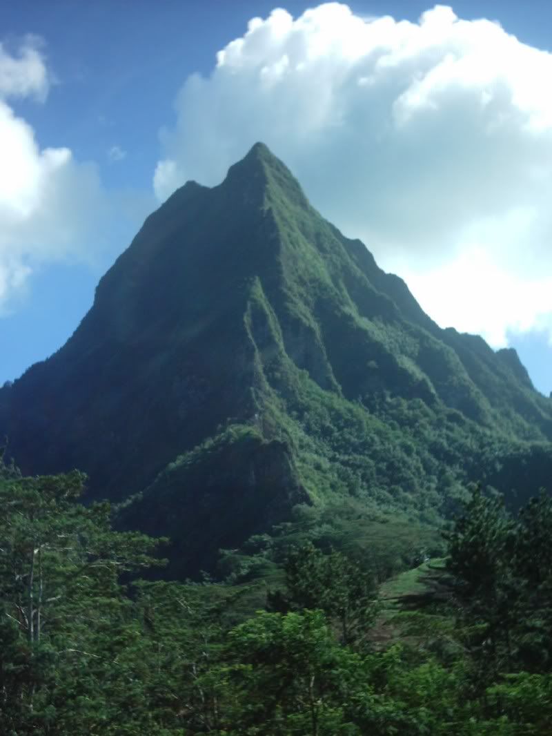 Img00069.jpg