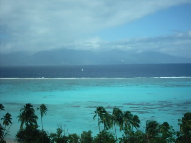 Img00074.jpg