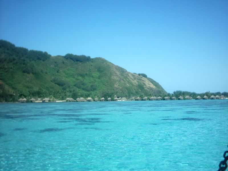 Img00080.jpg