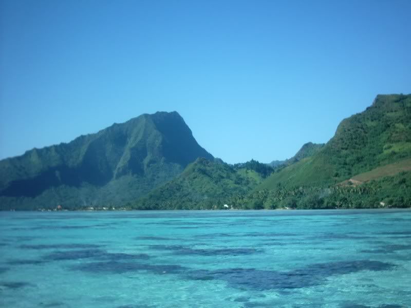 Img00081.jpg