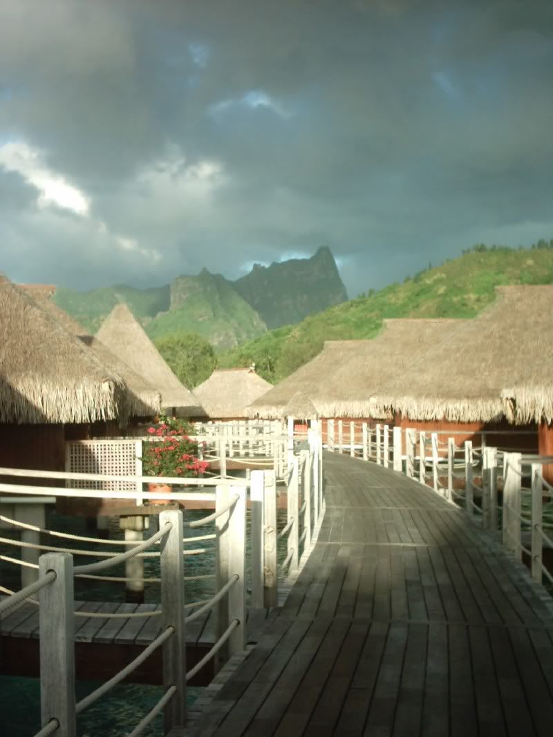Img00092.jpg