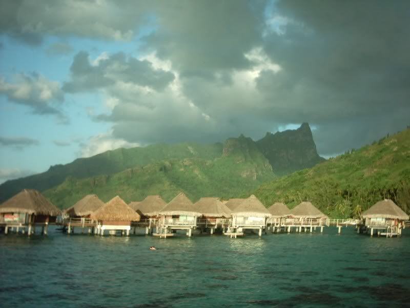 Img00094.jpg