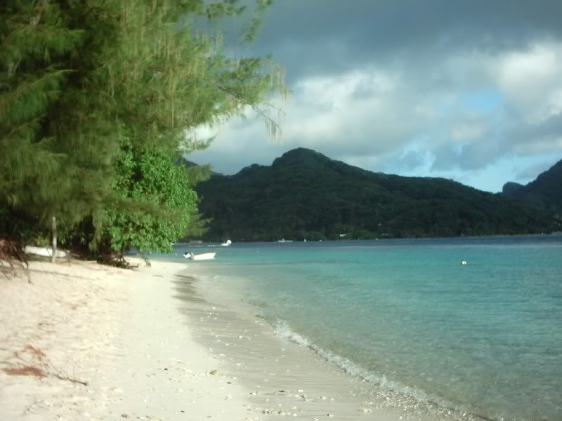 Img00123.jpg
