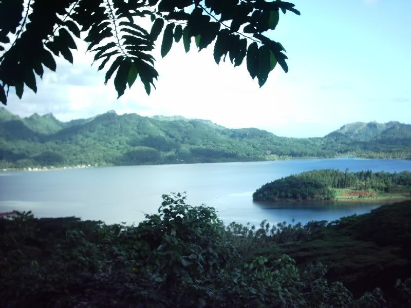 Img00142.jpg