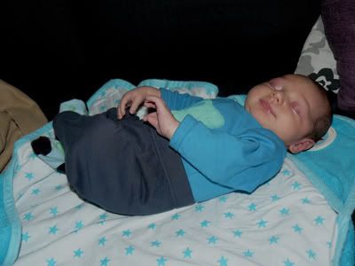 P1010044.jpg