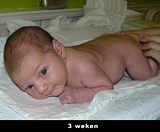 th_3weken.jpg