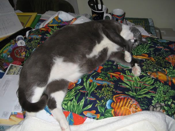 FatToby.jpg