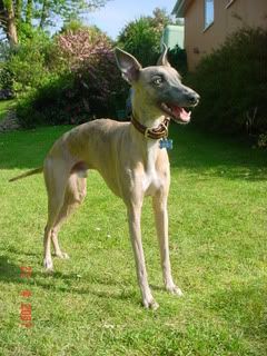 RANDOMEApr2007001-1.jpg