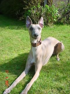 RANDOMEApr2007006-1.jpg