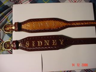 SidneyCollar003-1.jpg
