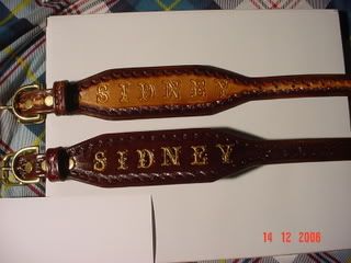 SidneyCollar003.jpg