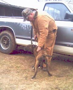 IMAGE(http://i70.photobucket.com/albums/i99/jcritterkeeper/HankAbby.jpg)