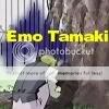 http://i70.photobucket.com/albums/i100/Megatokyo_Fan/Ouran%20High/bscap0211.jpg