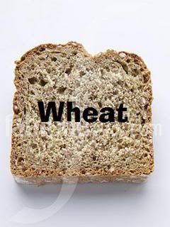 Wheat Made Me Sick