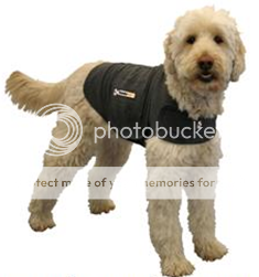 been a well designed, inexpensive pressure wrap commonly used for dog 