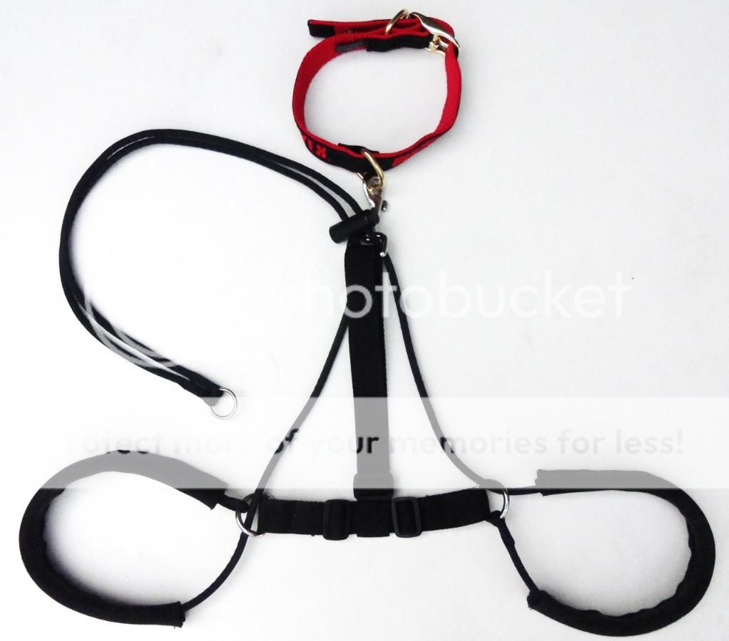 No Pulling Pull Dog Harness First Back Leg Harness Invented by Vet Dr