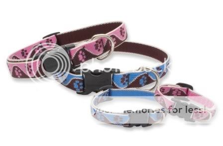 Medium 5/8 Rescue Dog Collar says ADOPT 14 20 Neck  