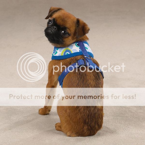 Casual Canine Mod Print Soft Dog Harness Blue Print