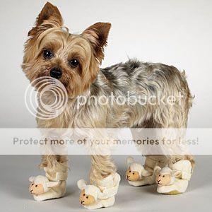 Little Barkers Dog Canvas Tennis Shoes   Rubber Sole  