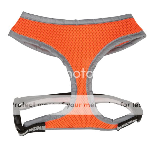 Casual Canine Reflective Mesh Dog Harness   Orange  