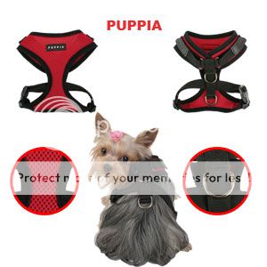 bella chuey just love their new puppia superior harness confused here 