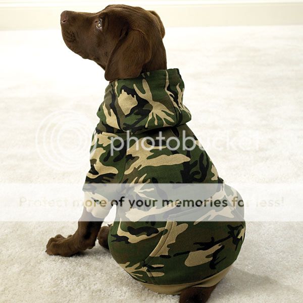 Zack & Zoey Dog Harness Vest   Camouflage XXS   Medium  